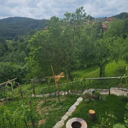Zidanica Muhic Villa Dolenjske Toplice Eksteriør bilde